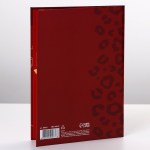 Диплом-книжка «Алкогольвица» А-6 арт.9490776